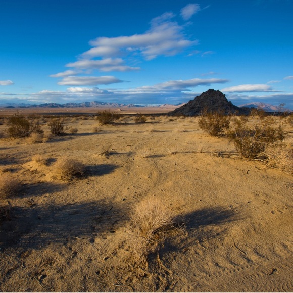 UNLISTED LIVE ITEMS - Picture 3 of 3